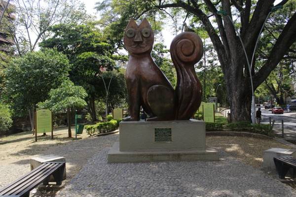 Gato del río - Cali