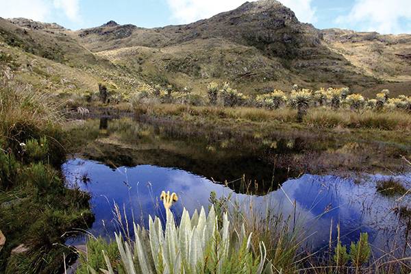 parque natural iguaque - Villa de Leyva