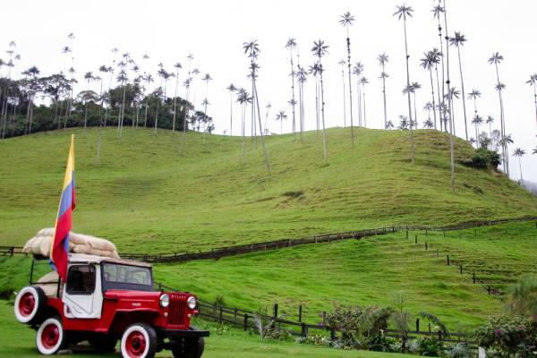Cocora - Salento